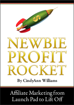 Newbie profit rocket